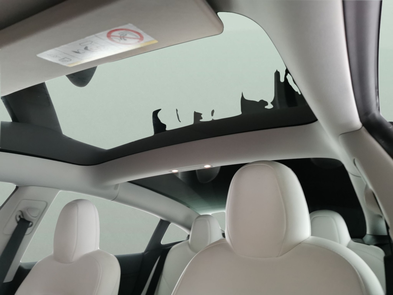 Used Tesla Model 3 2021 for sale - 76892750: Photo 5