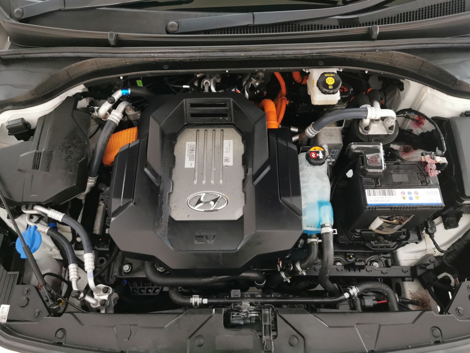 Used Hyundai IONIQ for sale - 76827096: Photo 38