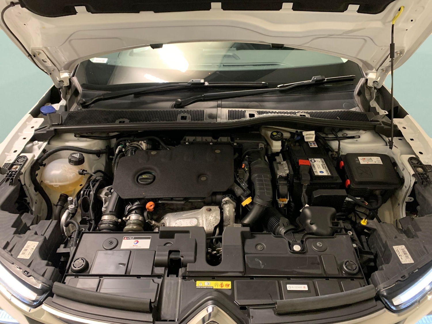 Used Citroen C4 2022 for sale - 76182295: Photo 44