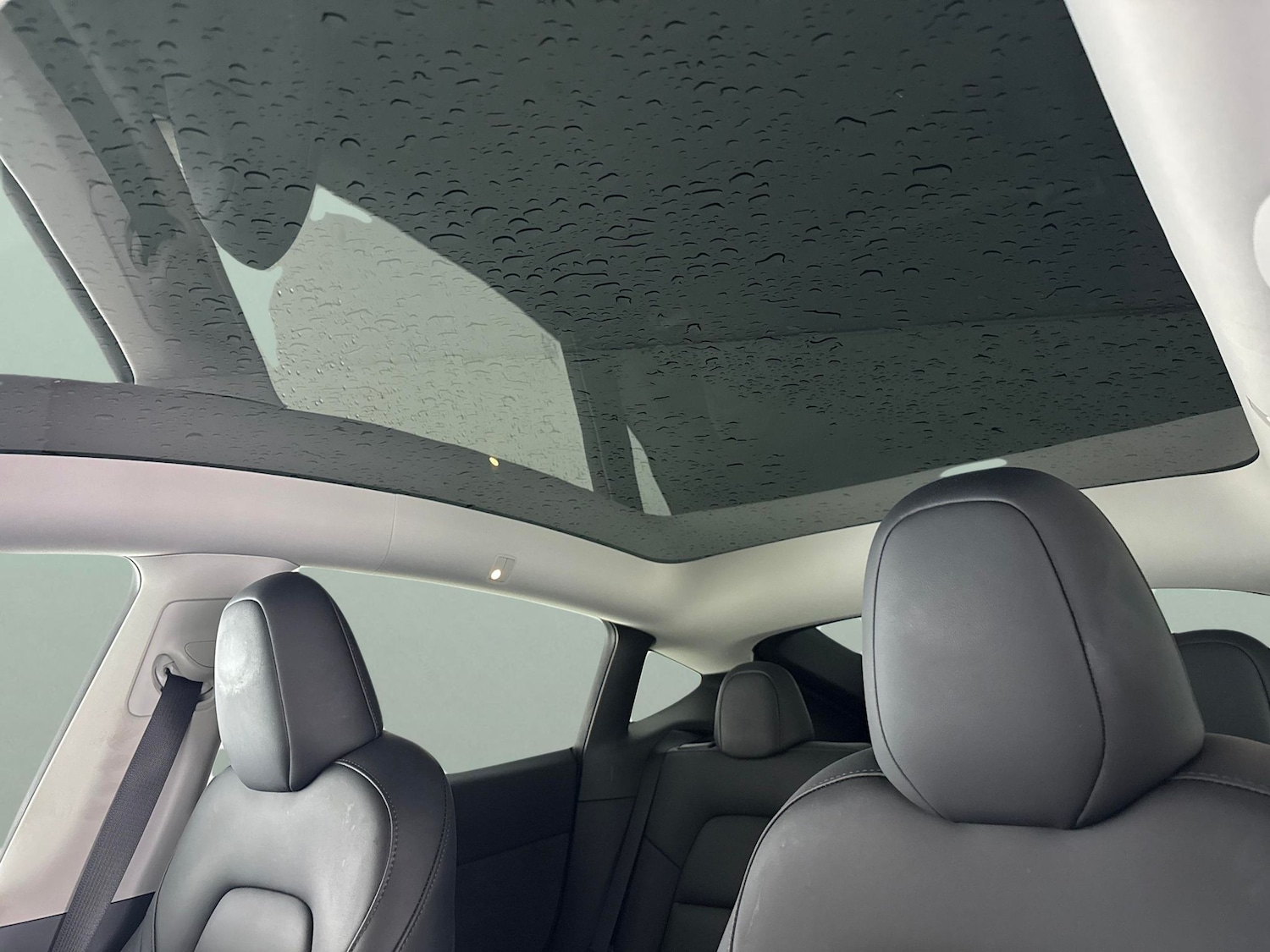 Used Tesla Model Y 2023 for sale - 77638287: Photo 5