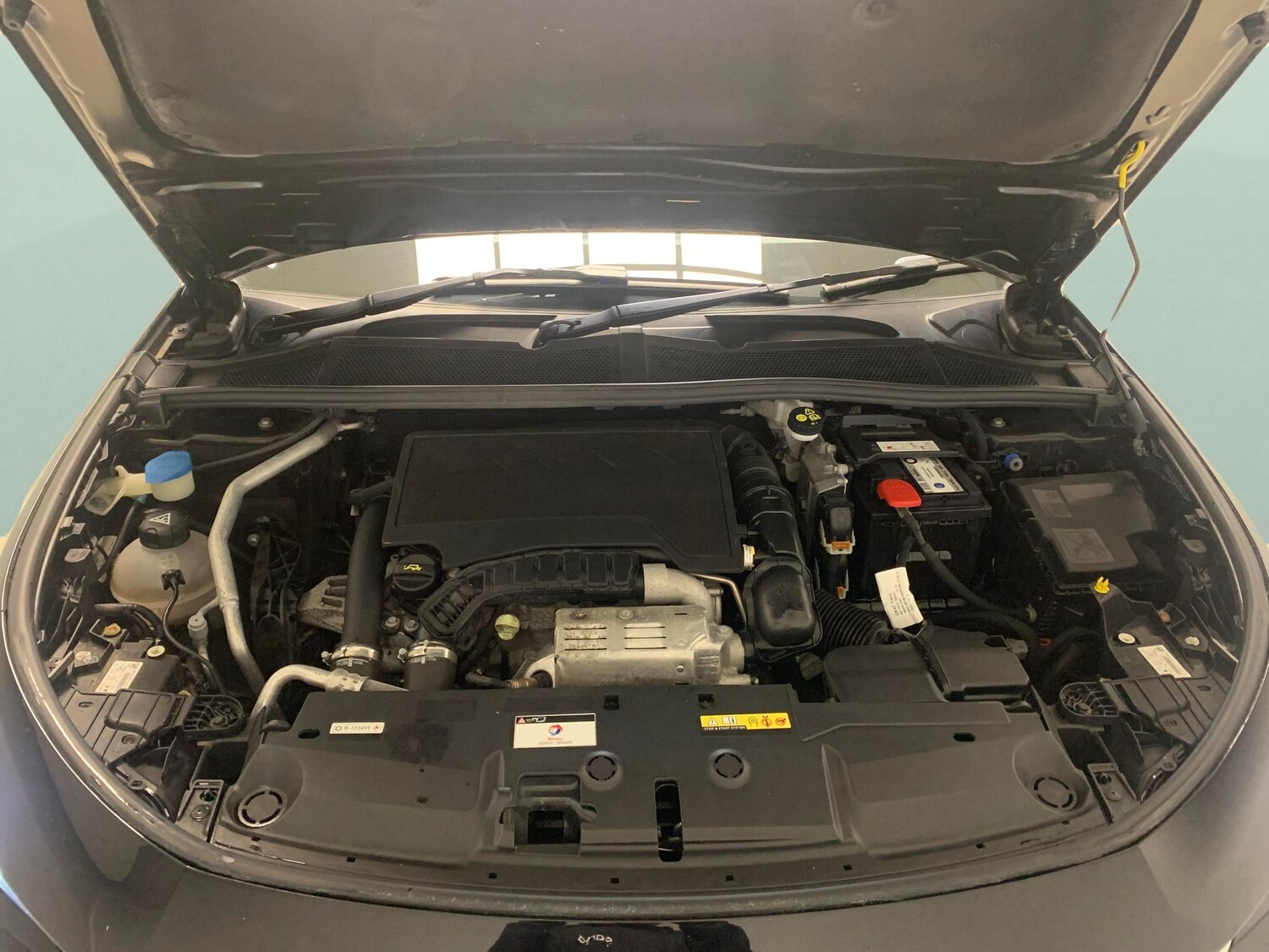 Used Peugeot 308 2023 for sale - 77483143: Photo 31