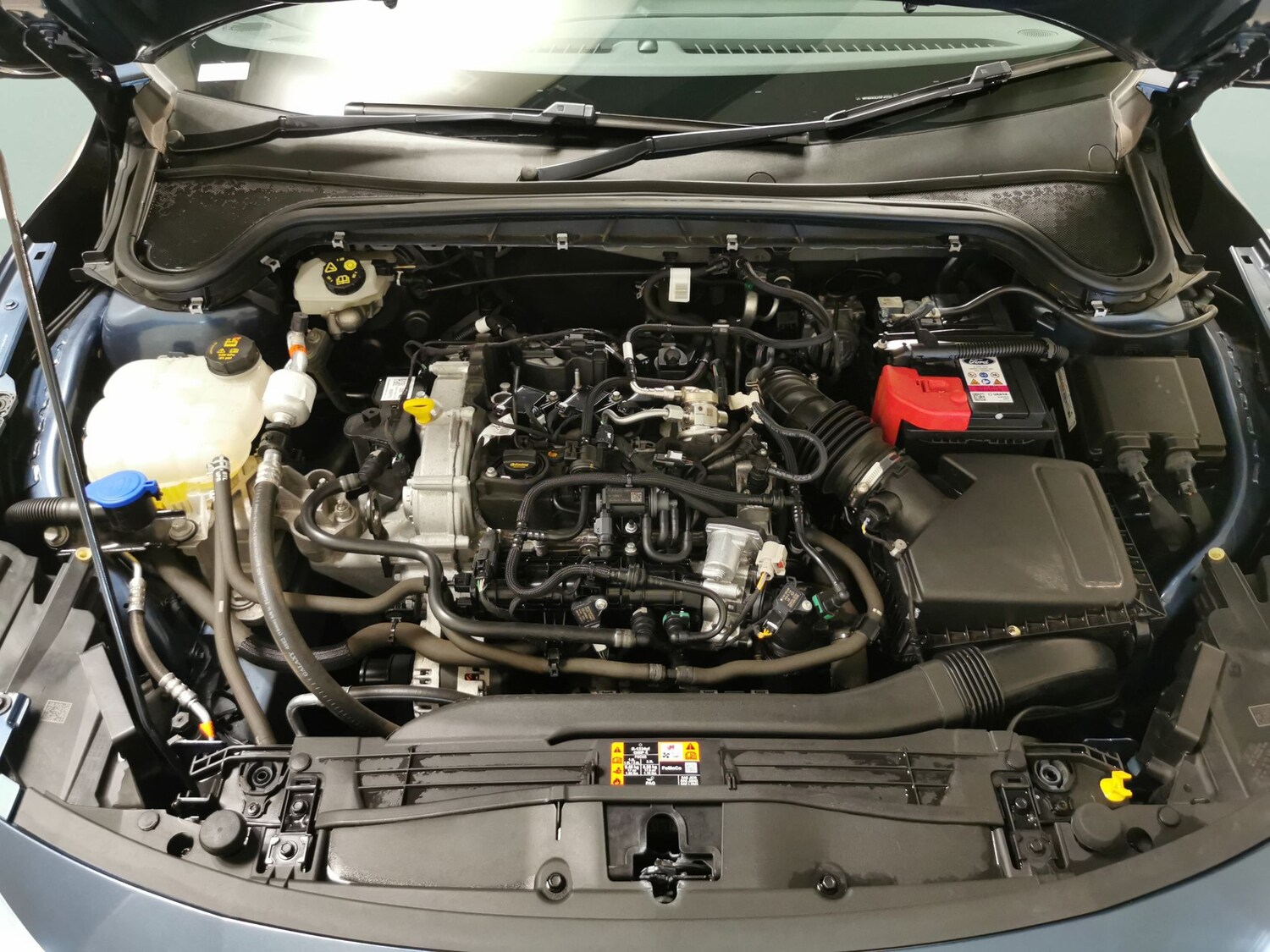 Used Ford Focus 2023 for sale - 77136656: Photo 28