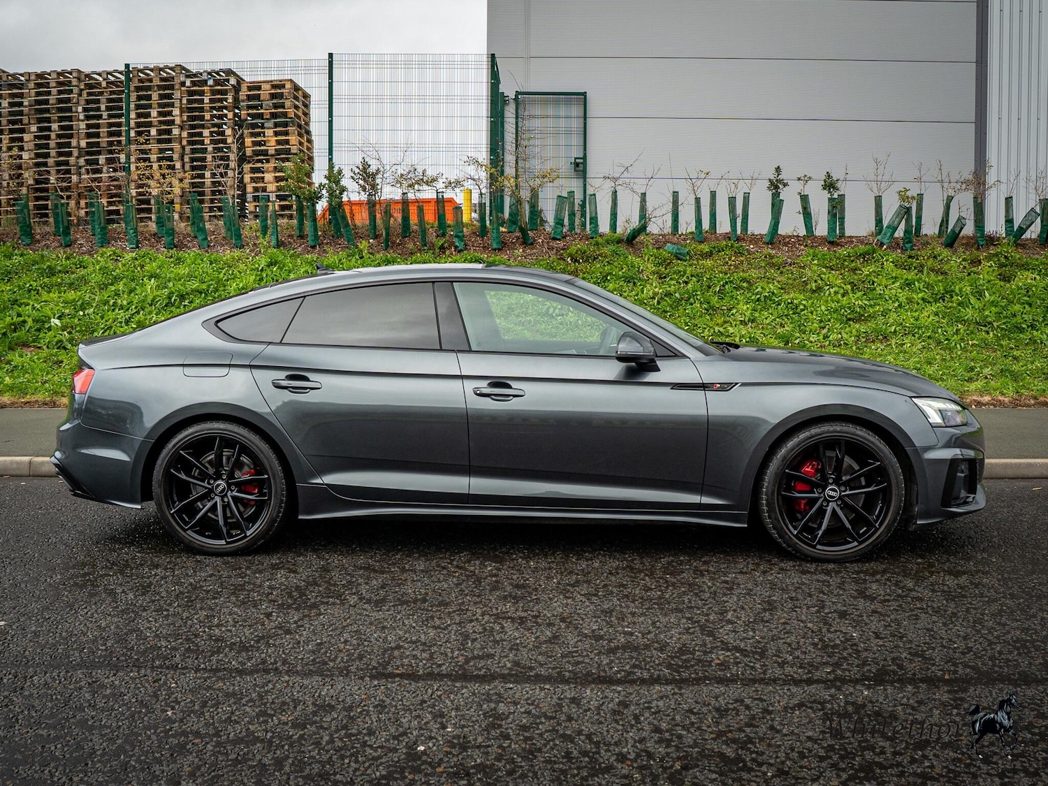 Used Audi A5 for sale - 77266734: Photo 3