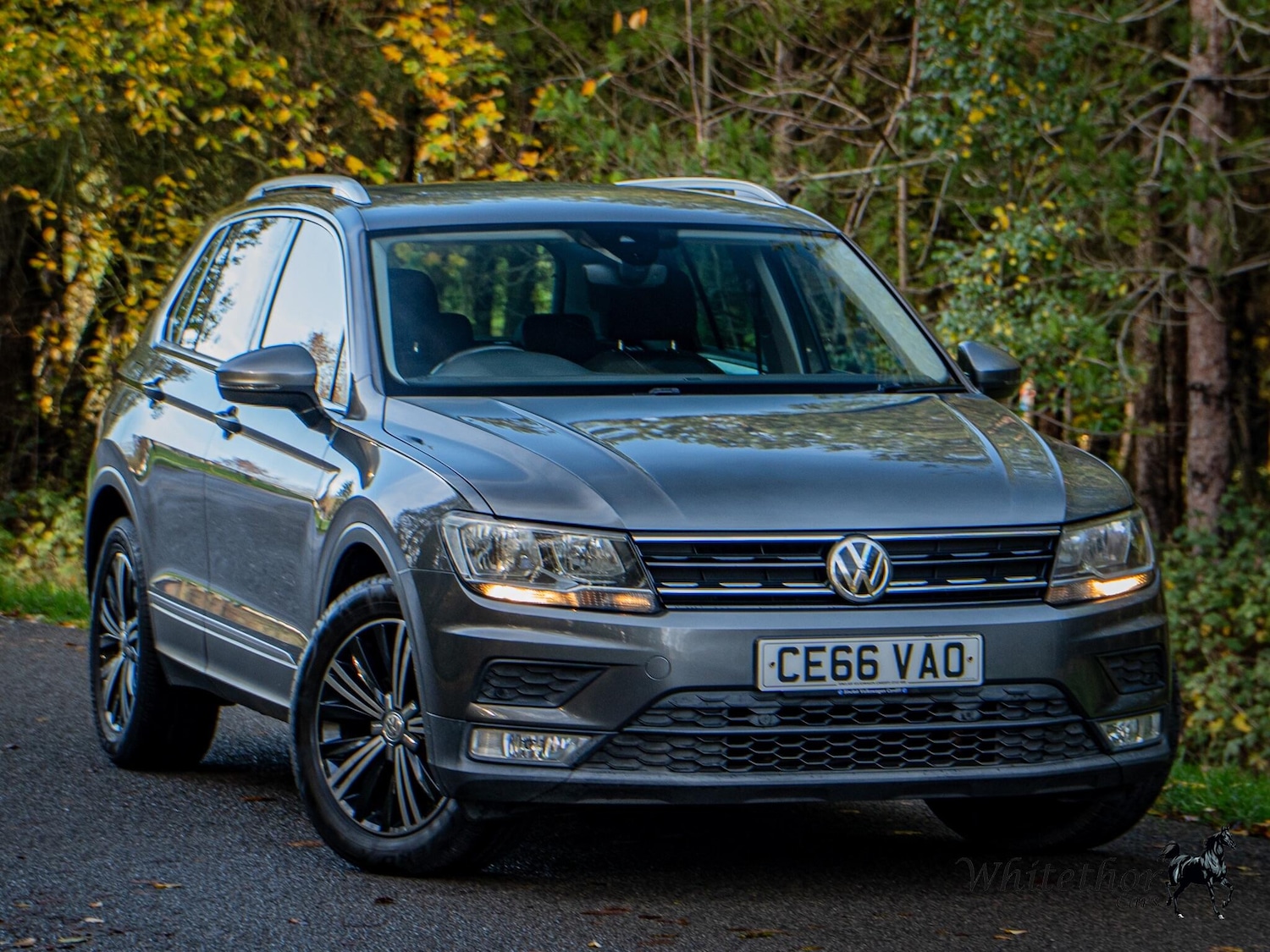 Used Volkswagen Tiguan 2016 for sale - 76550506: Photo 1