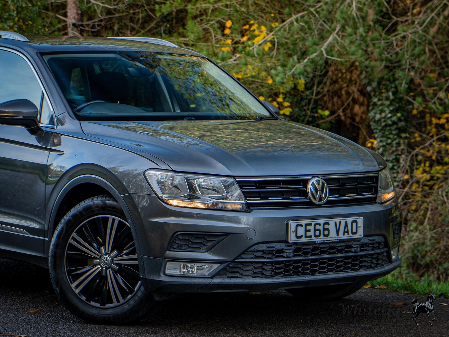 Used Volkswagen Tiguan 2016 for sale - 76550506: Photo 14
