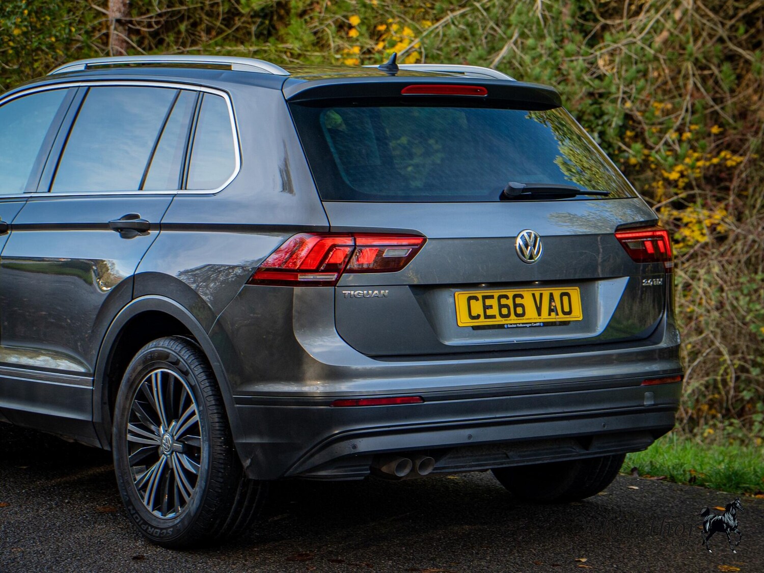 Used Volkswagen Tiguan 2016 for sale - 76550506: Photo 16