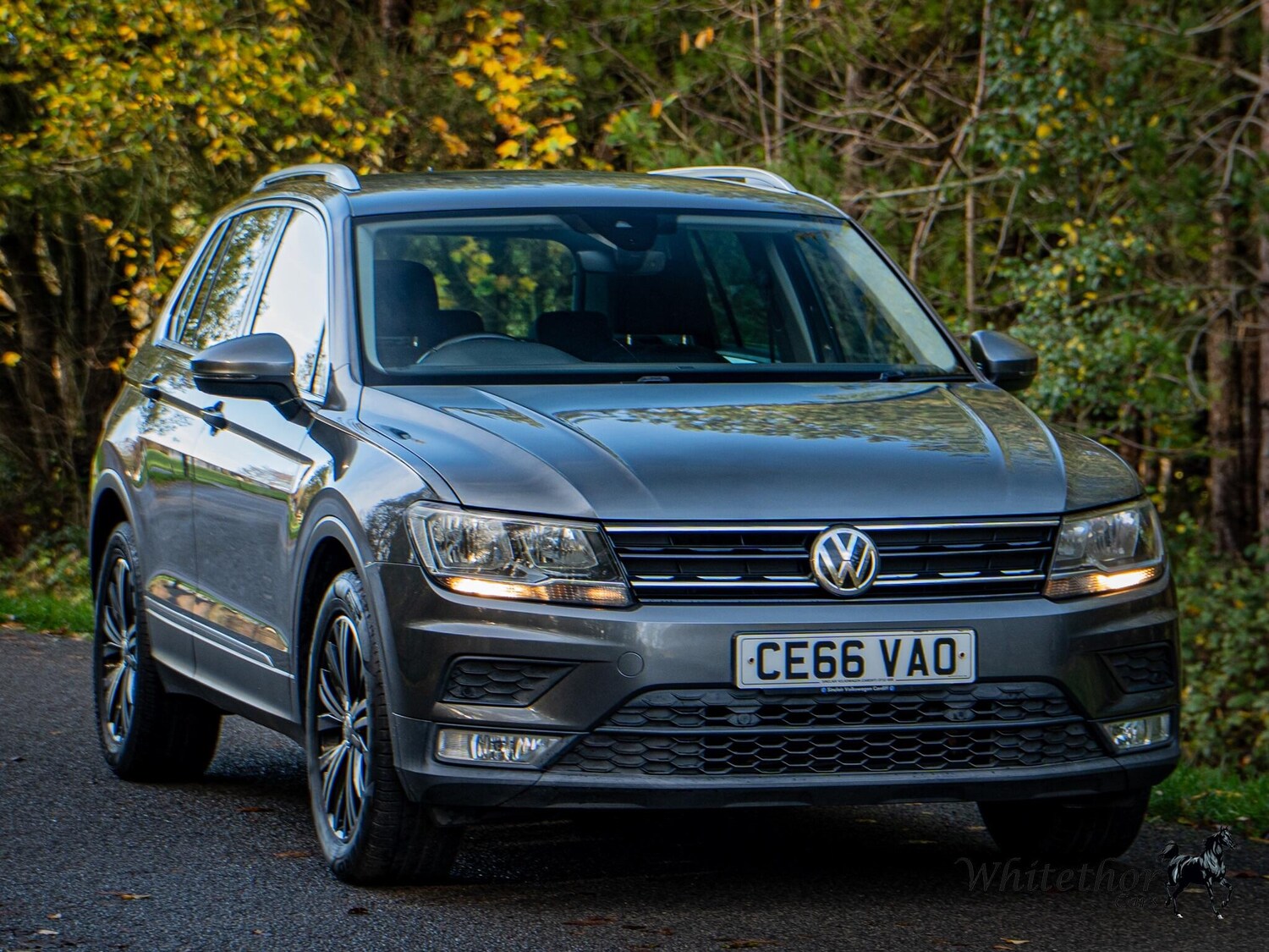Used Volkswagen Tiguan 2016 for sale - 76550506: Photo 17