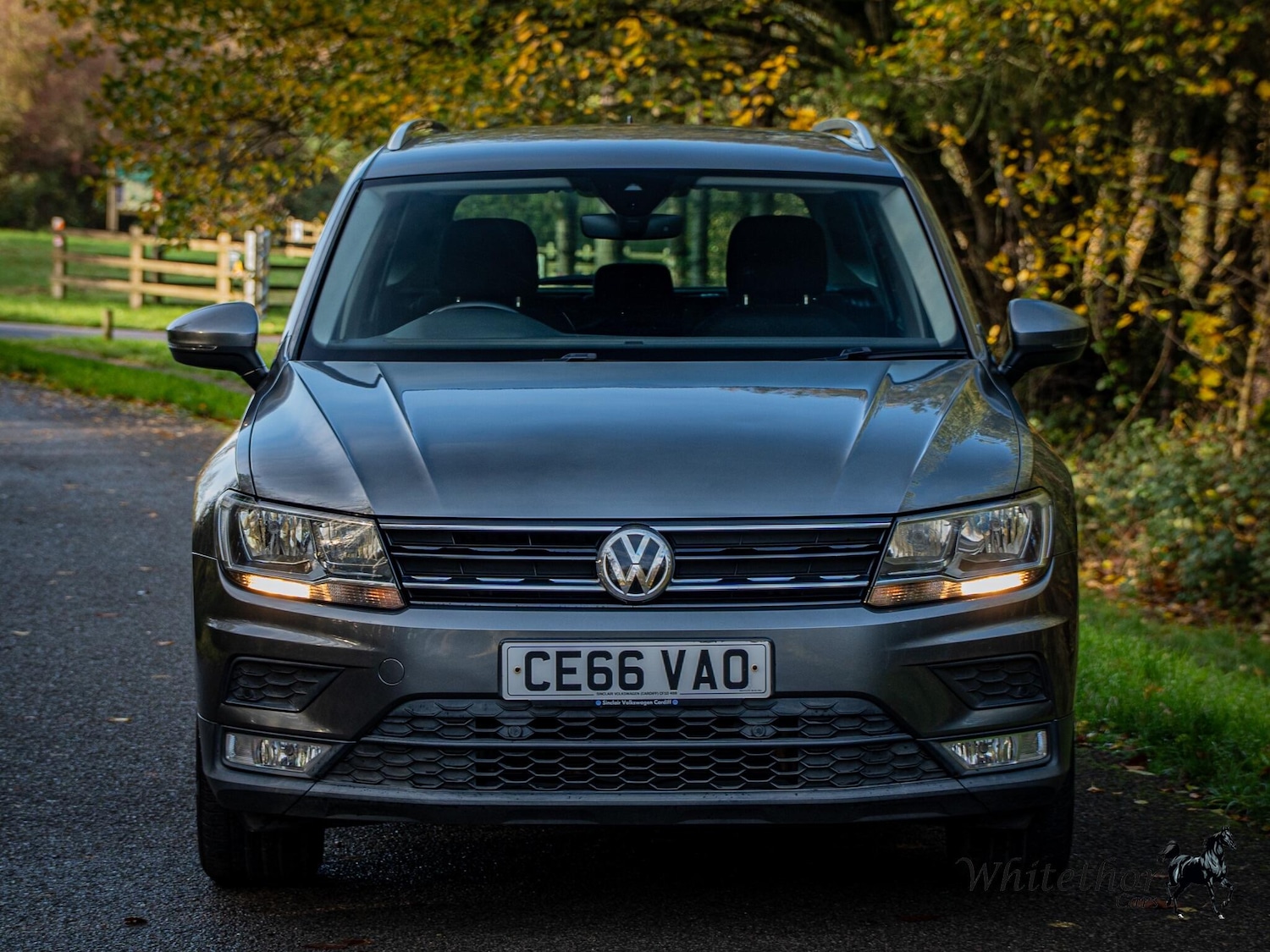 Used Volkswagen Tiguan 2016 for sale - 76550506: Photo 2