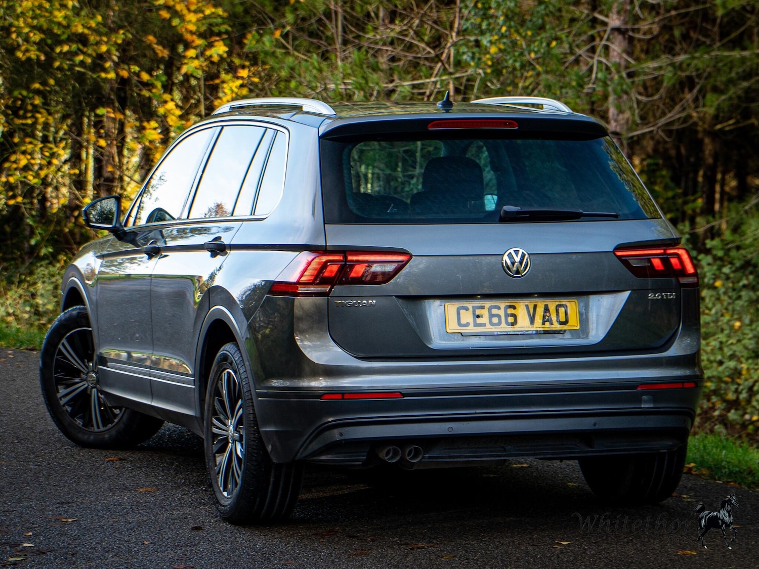 Used Volkswagen Tiguan 2016 for sale - 76550506: Photo 4