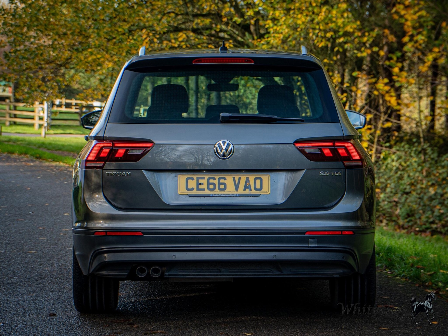 Used Volkswagen Tiguan 2016 for sale - 76550506: Photo 5