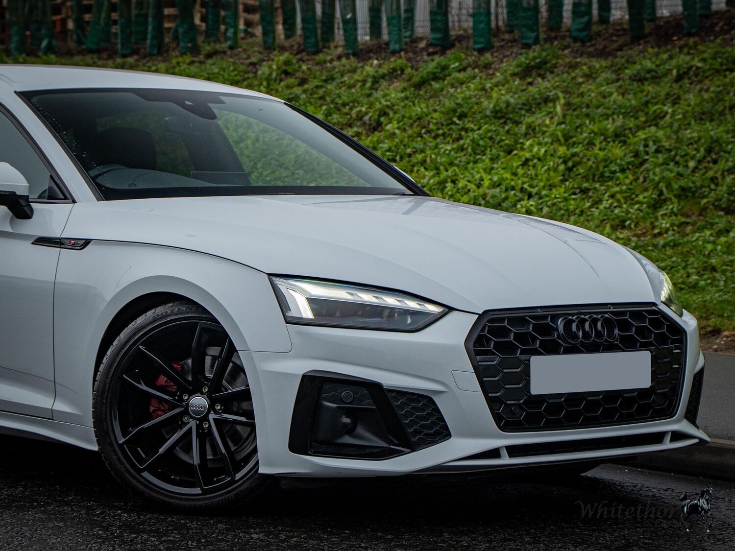 Used Audi A5 for sale - 77925785: Photo 16