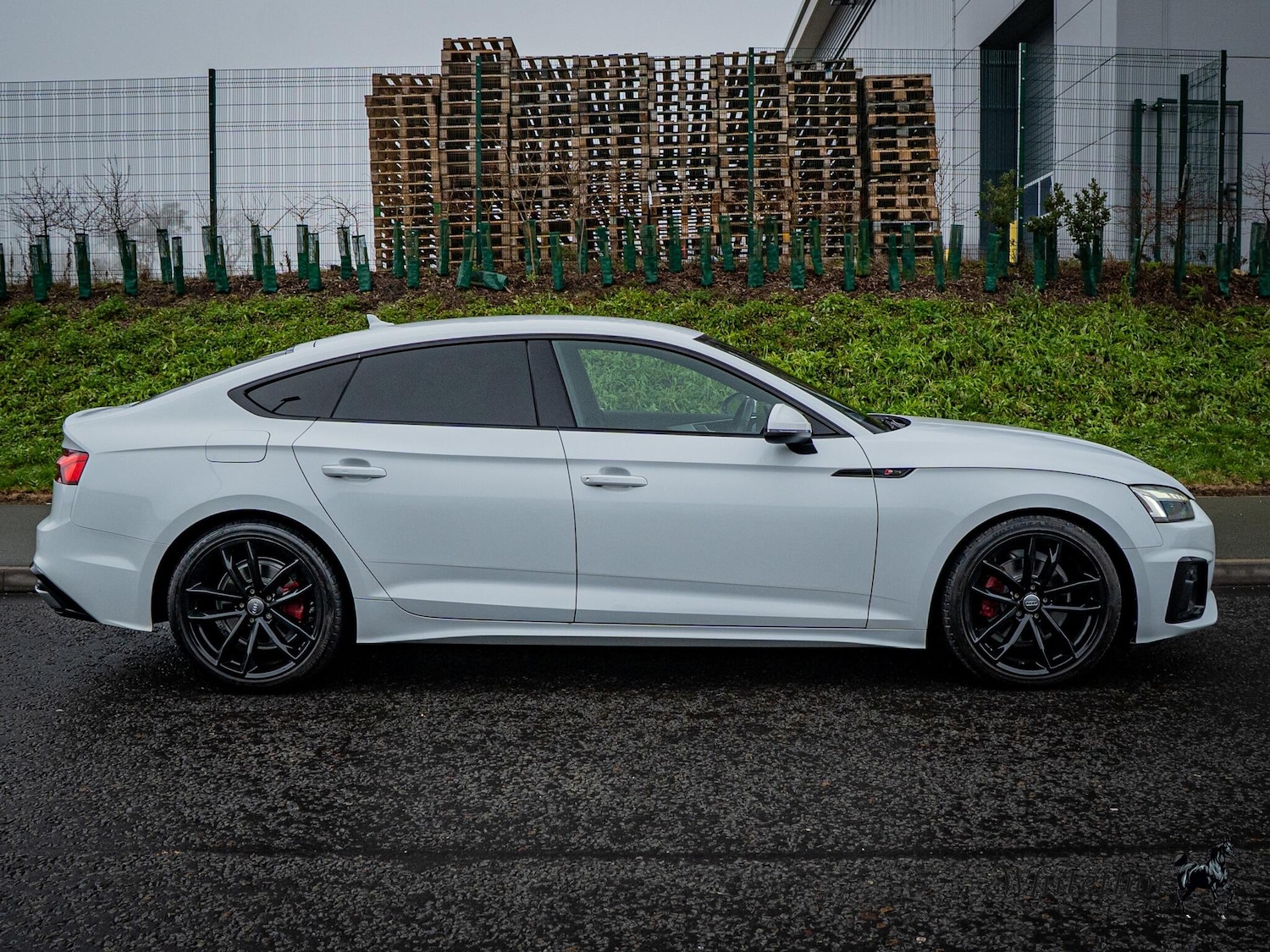 Used Audi A5 for sale - 77925785: Photo 3