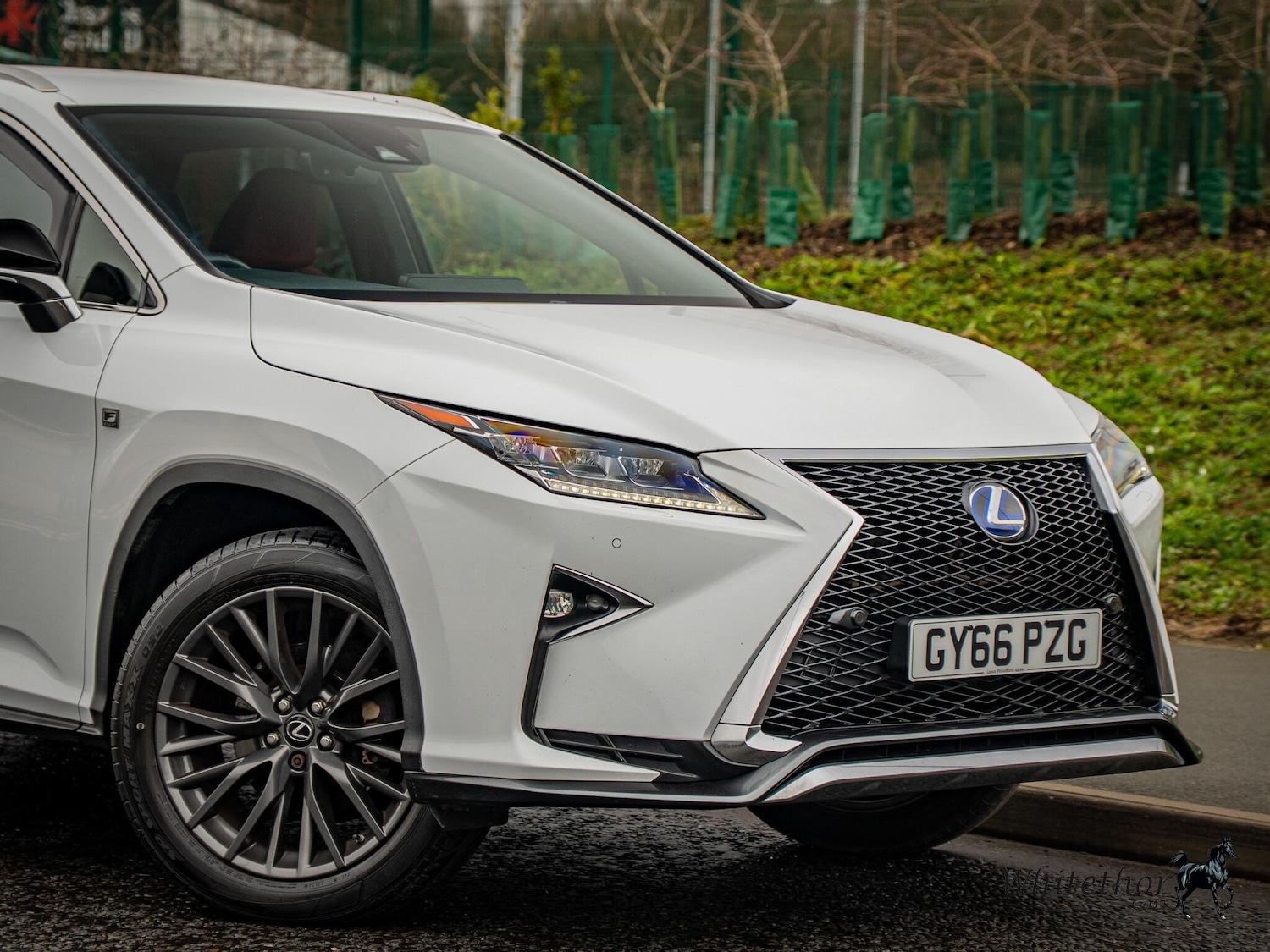 Used Lexus RX for sale - 77396254: Photo 16