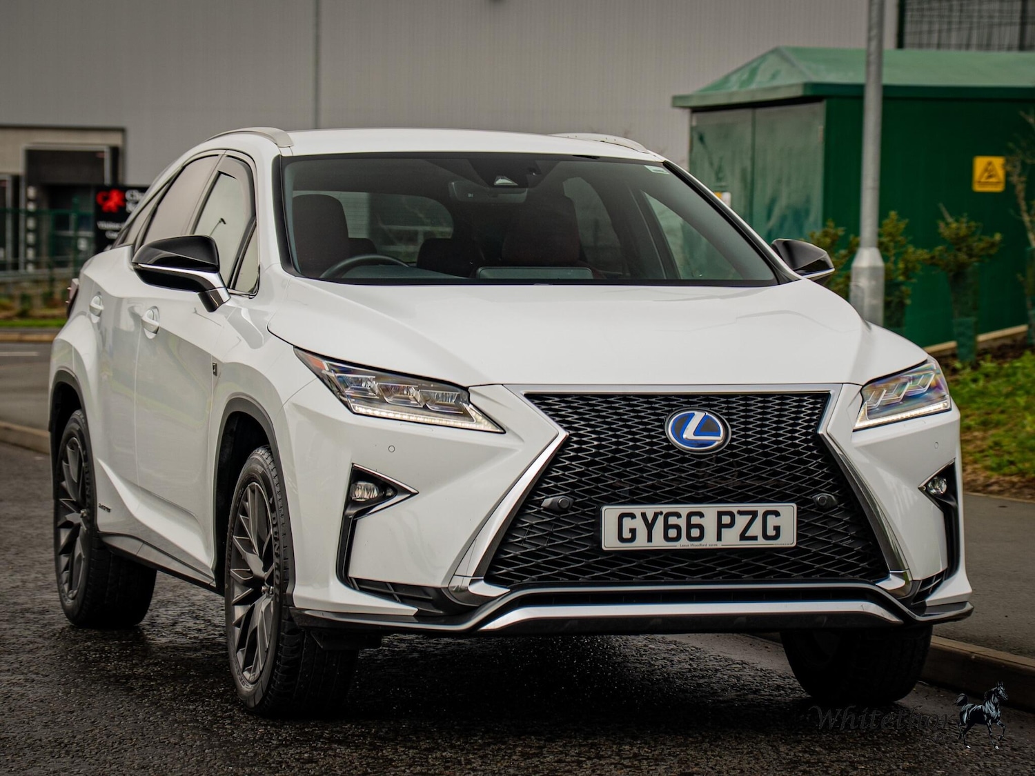 Used Lexus RX for sale - 77396254: Photo 19