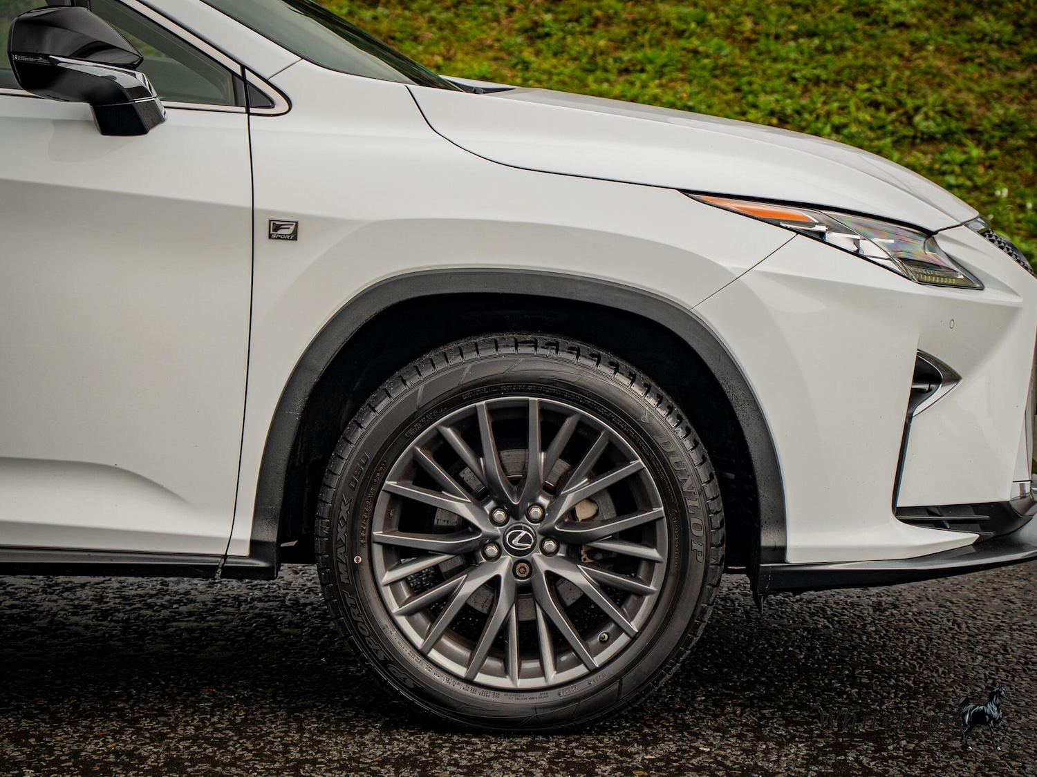 Used Lexus RX for sale - 77396254: Photo 22