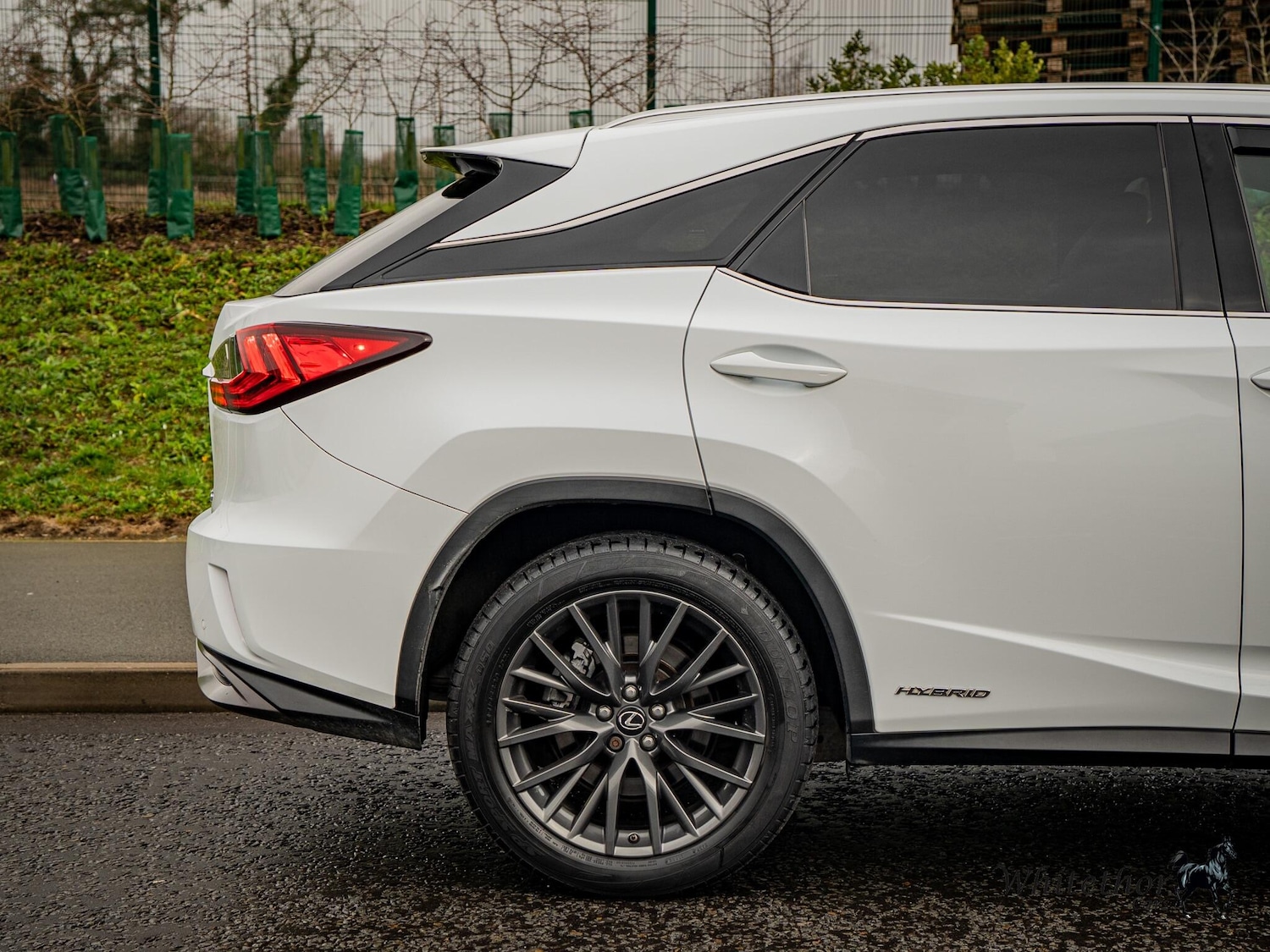 Used Lexus RX for sale - 77396254: Photo 24