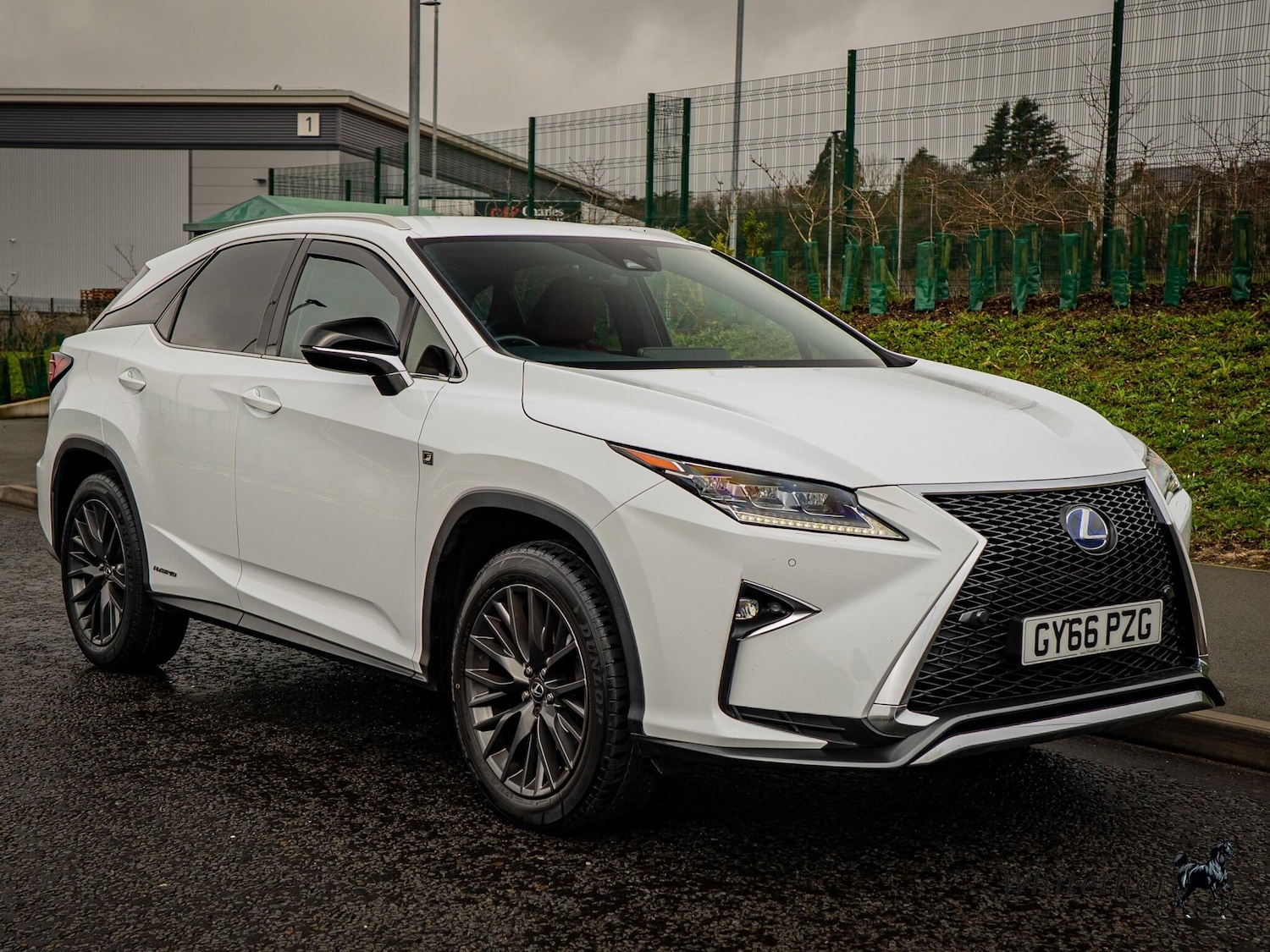 Used Lexus RX for sale - 77396254: Photo 25