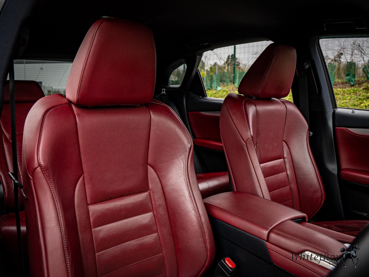 Used Lexus RX for sale - 77396254: Photo 29