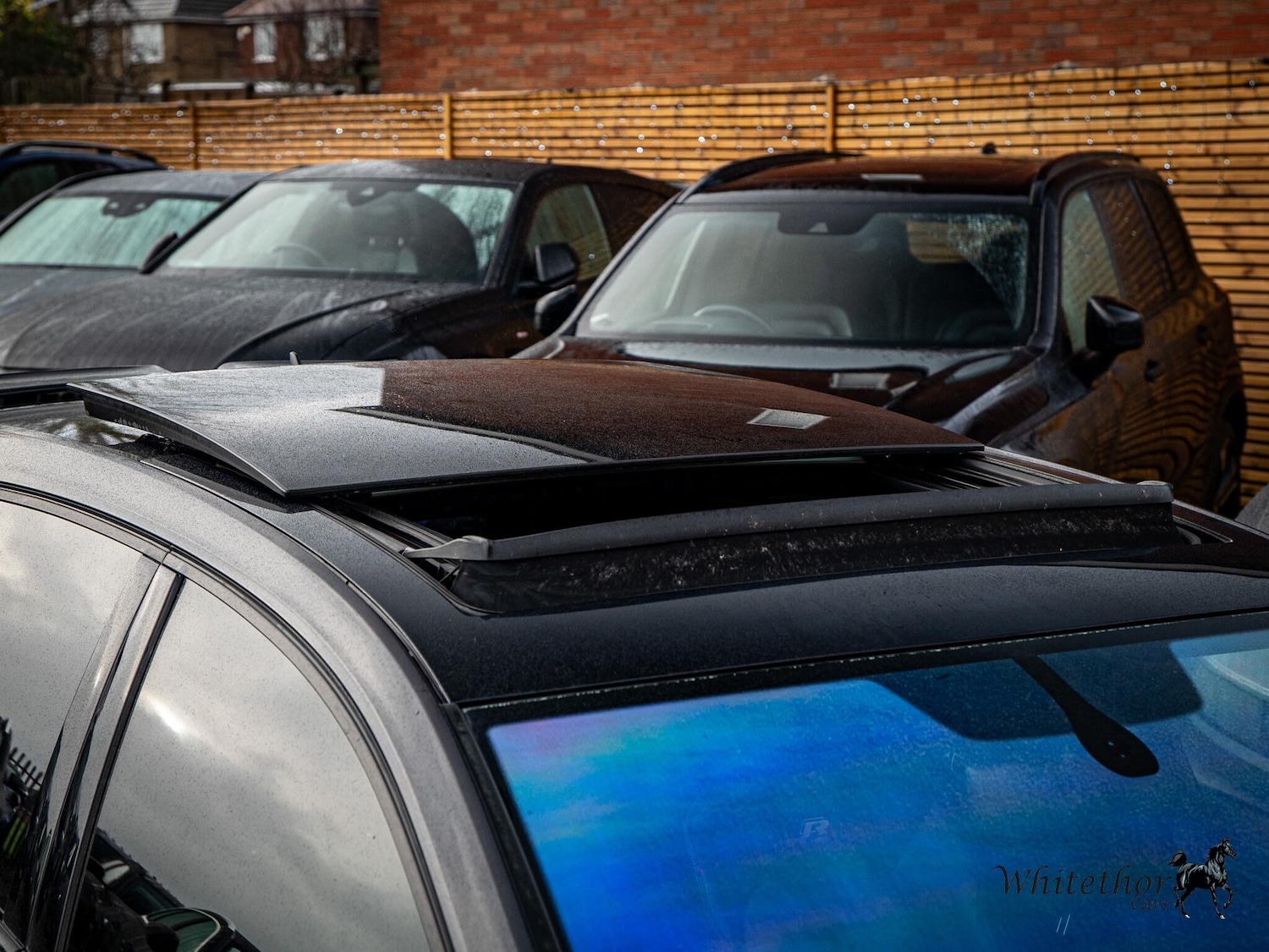 Used Volkswagen Golf for sale - 76912806: Photo 4