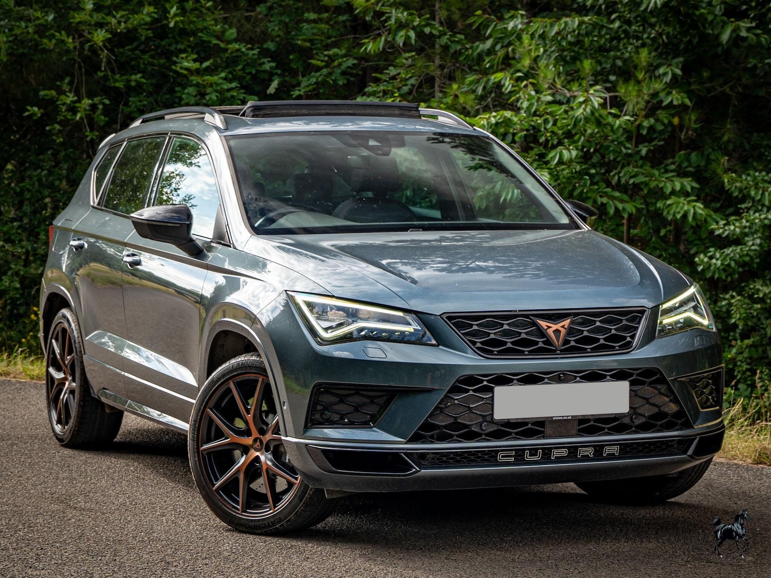Used SEAT CUPRA Ateca 2019 for sale - 76573765: Photo 1