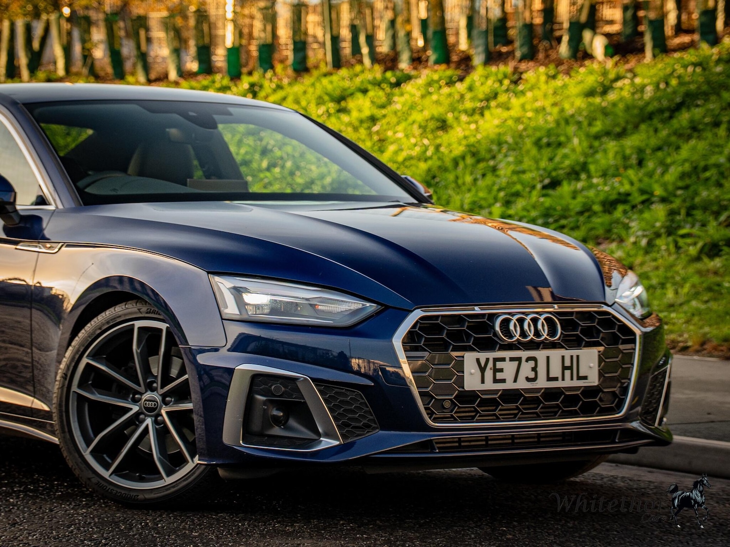 Used Audi A5 2023 for sale - 76408466: Photo 16