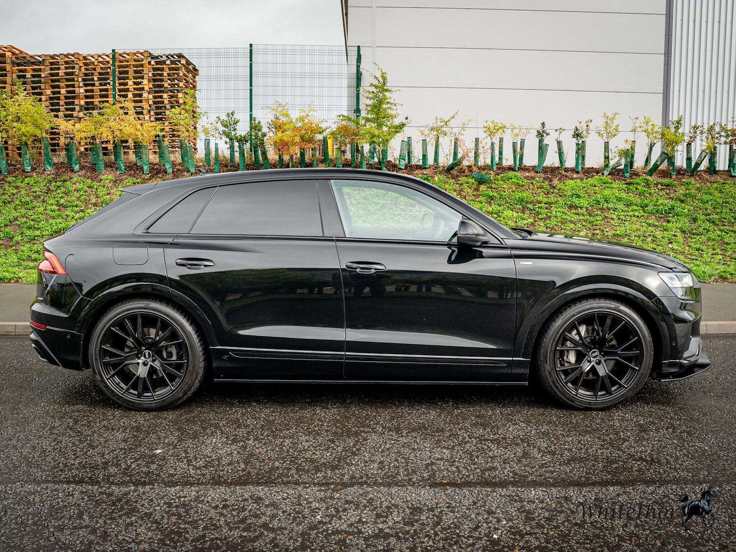 Used Audi Q8 2022 for sale - 76472279: Photo 3