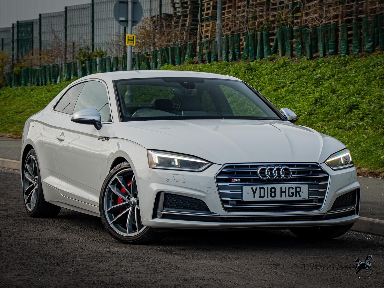 Used Audi S5 for sale - 76727273: Photo 1