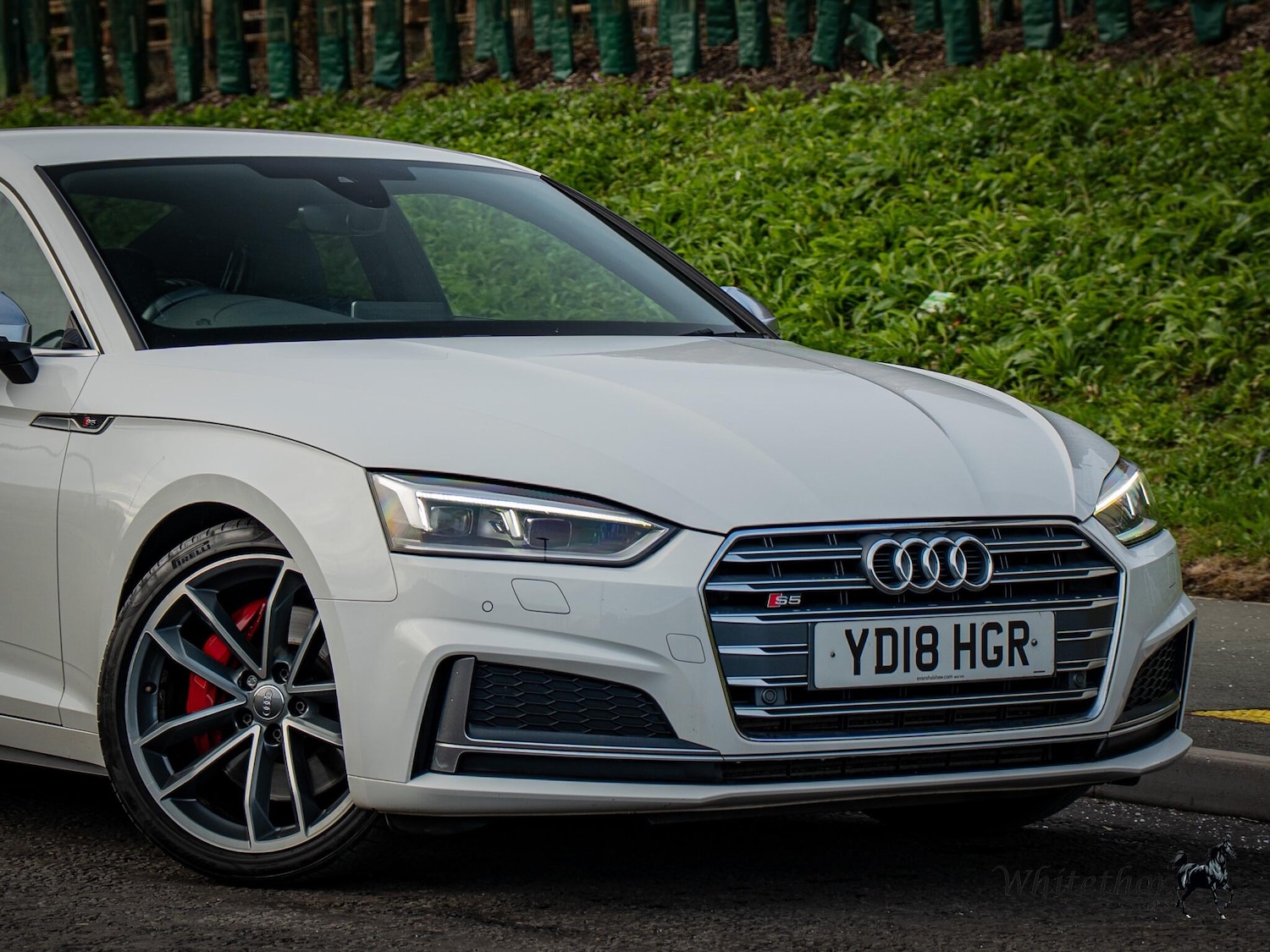 Used Audi S5 for sale - 76727273: Photo 13