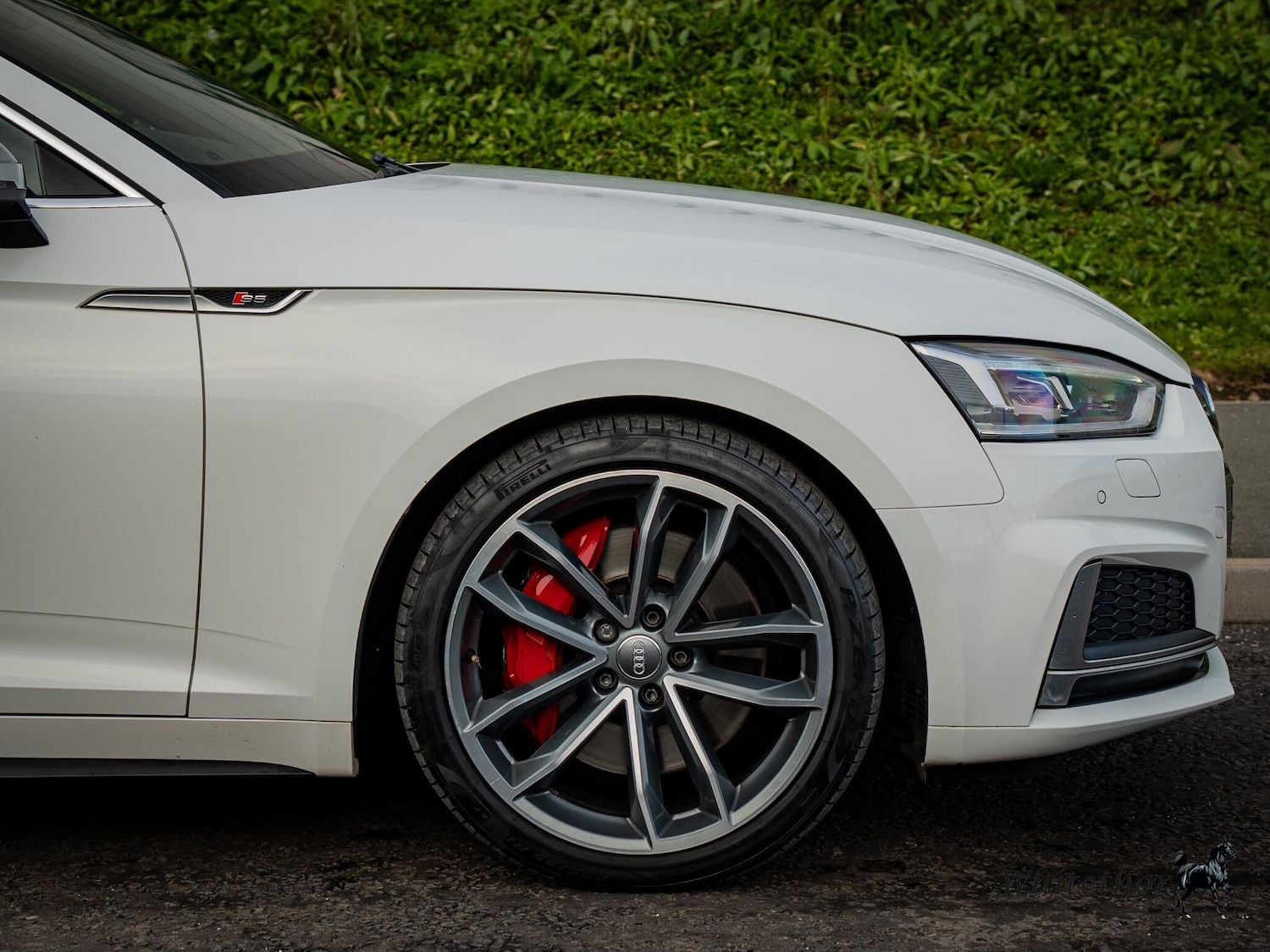 Used Audi S5 for sale - 76727273: Photo 19