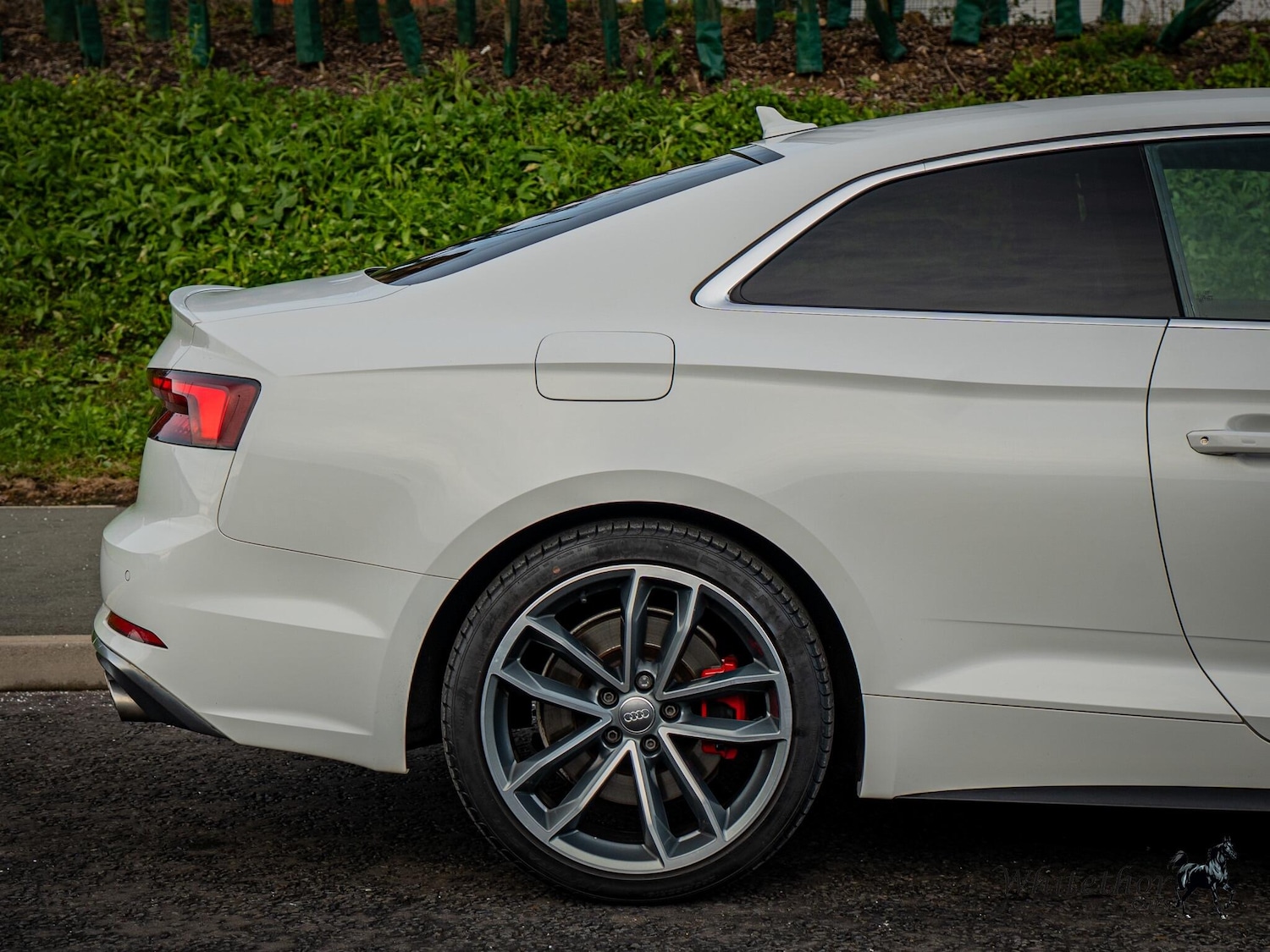 Used Audi S5 for sale - 76727273: Photo 21