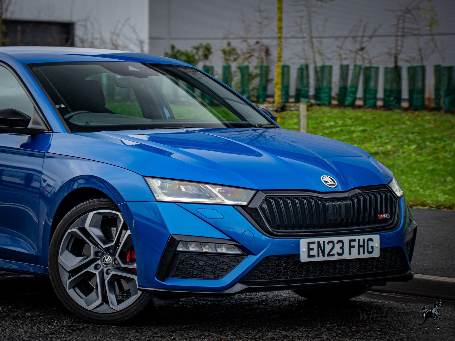 Used Skoda Octavia 2023 for sale - 77001967: Photo 12