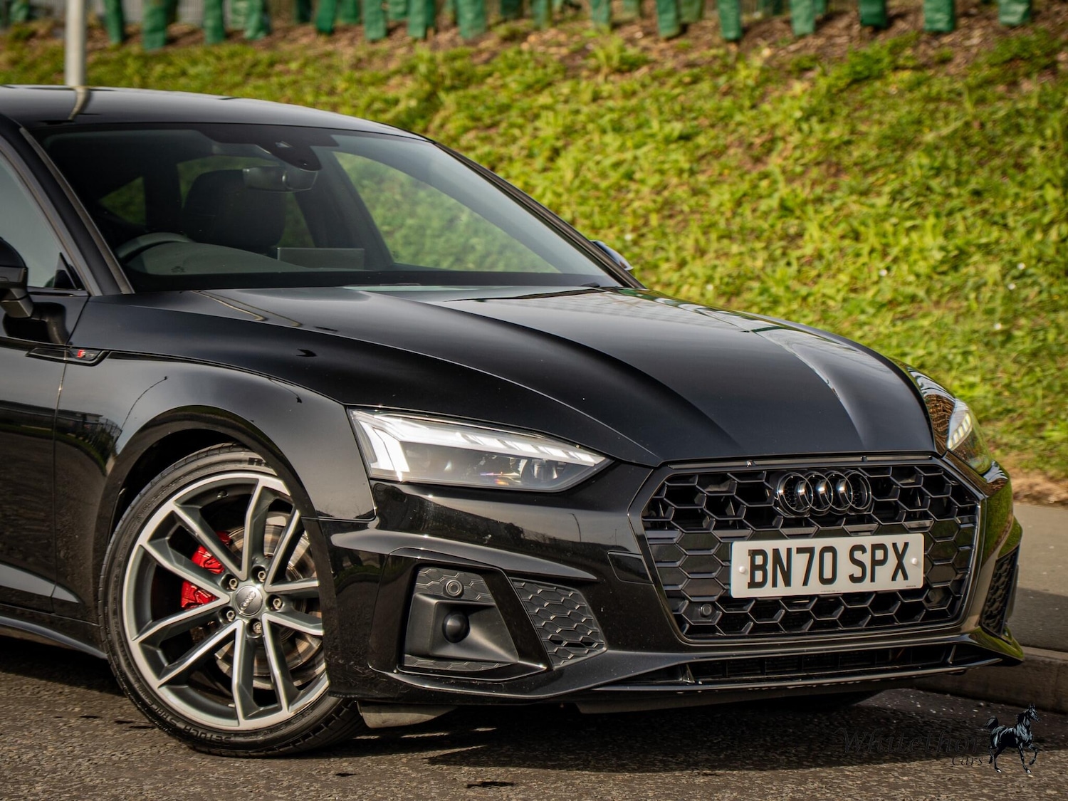 Used Audi A5 2020 for sale - 77191453: Photo 16