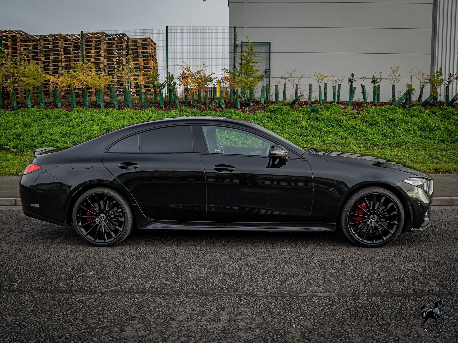 Used Mercedes-Benz CLS 2019 for sale - 77626331: Photo 3