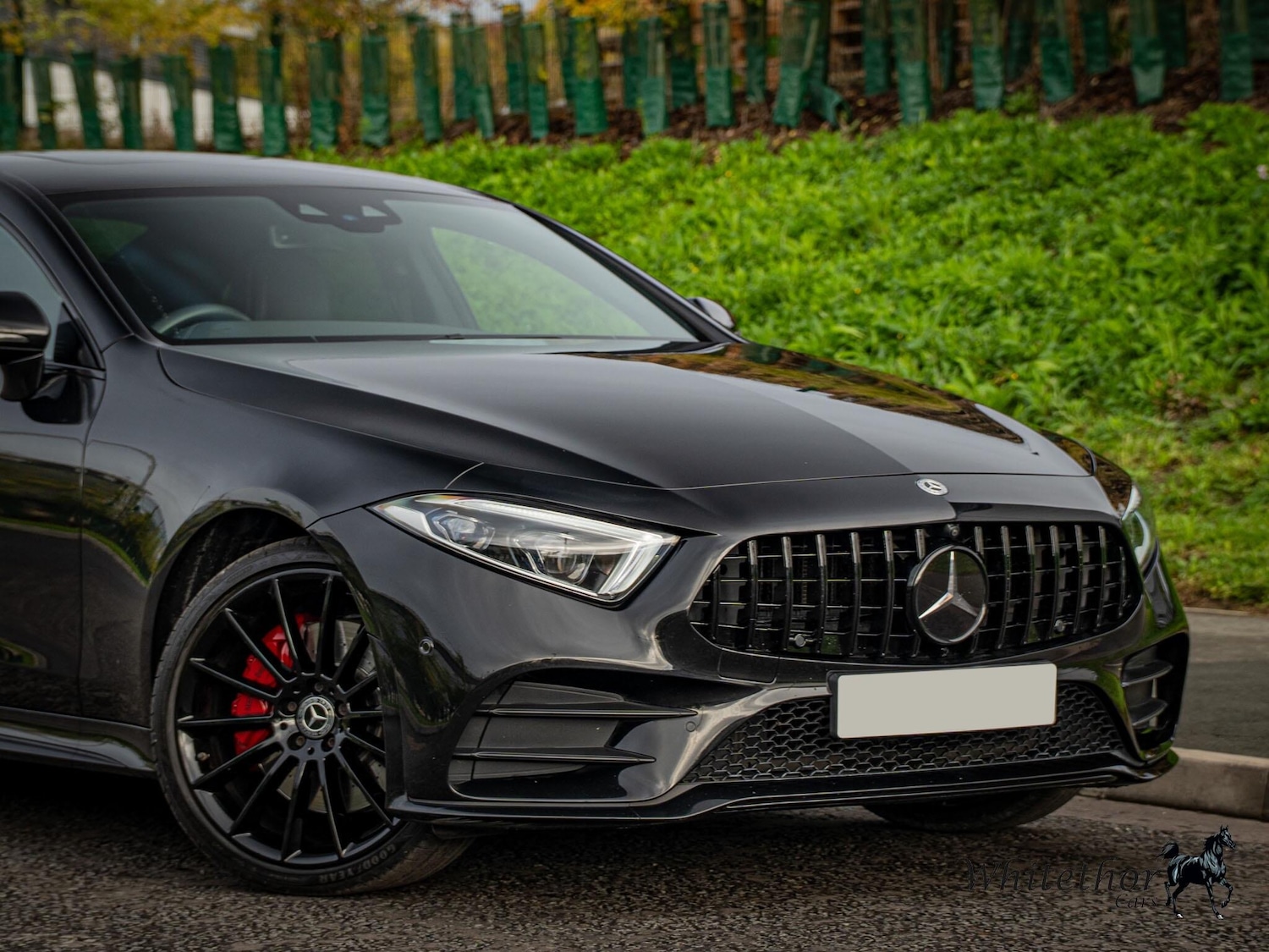 Used Mercedes-Benz CLS 2019 for sale - 77626331: Photo 8