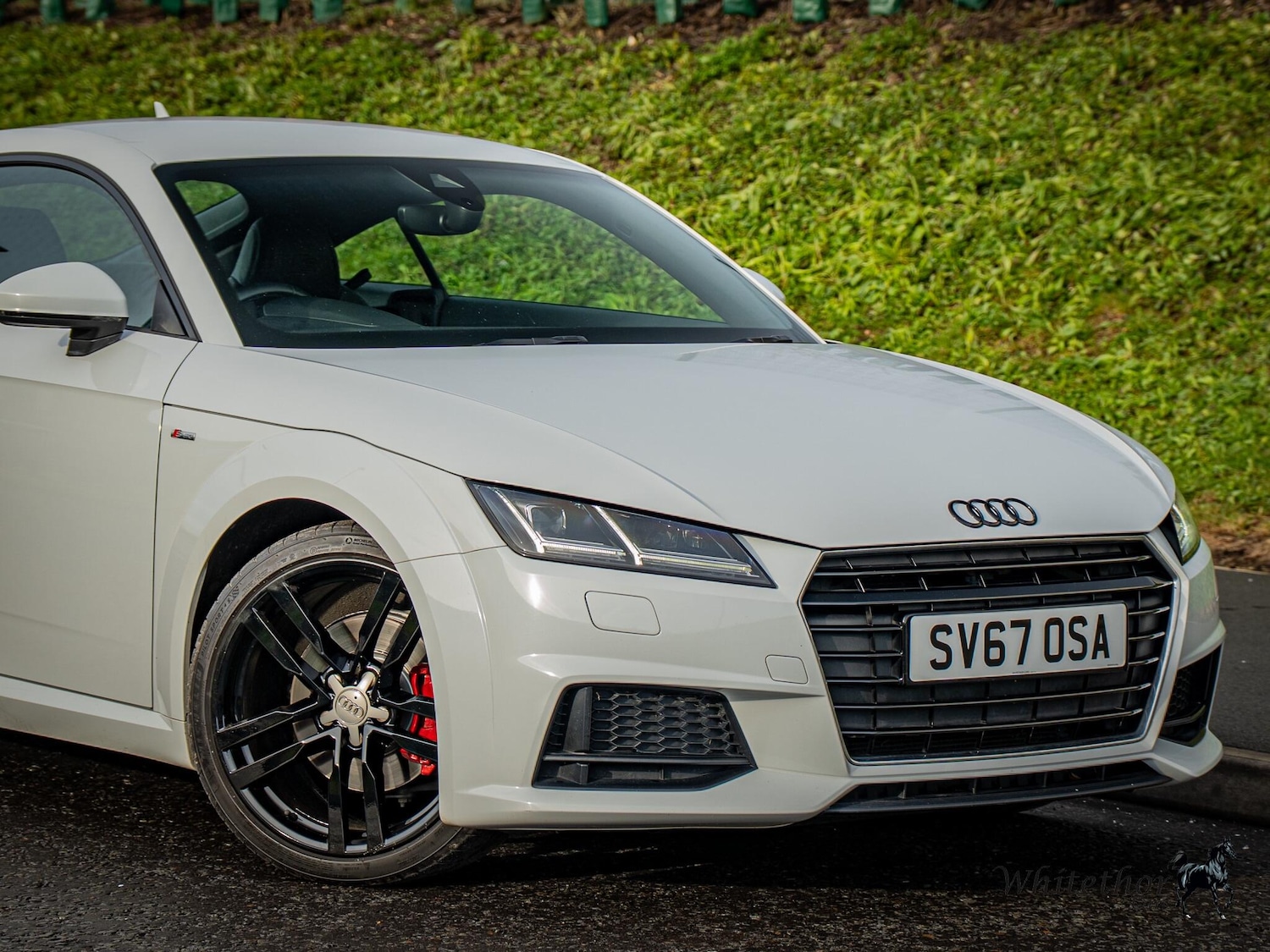 Used Audi TT for sale - 76998953: Photo 16