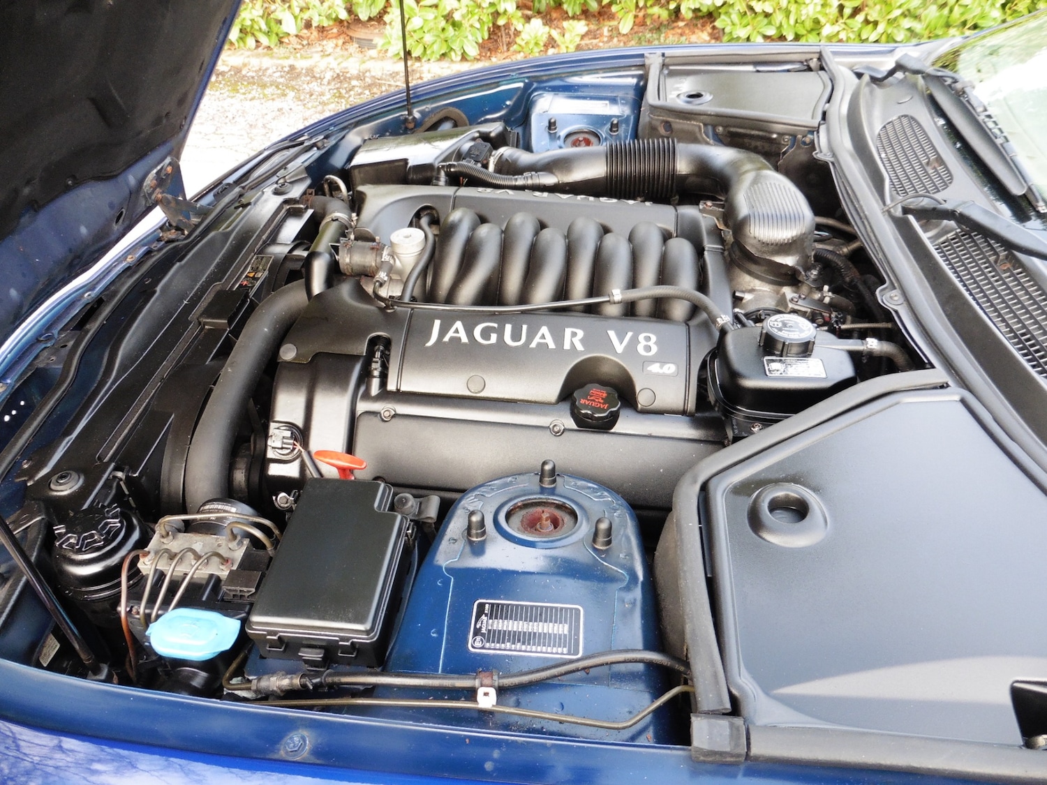 Used Jaguar XK8 2001 for sale - 76640092: Photo 12