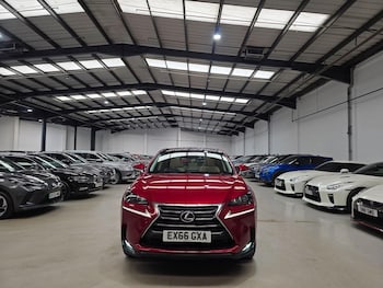Used Lexus NX 2016 for sale - 79348844: Photo