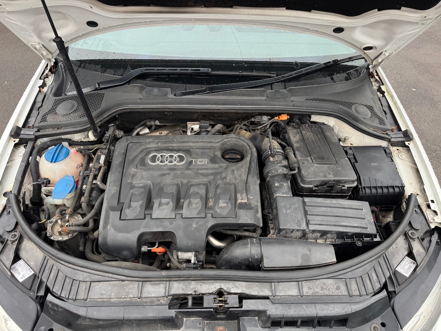 Used Audi A3 2012 for sale - 76982597: Photo 32