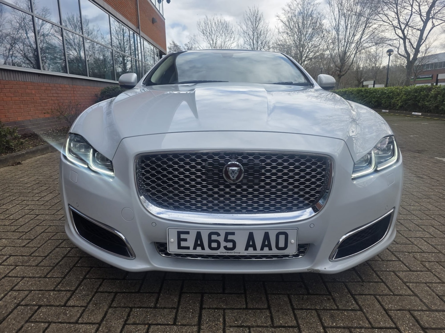Used Jaguar XJ 2015 for sale - 77446422: Photo 8