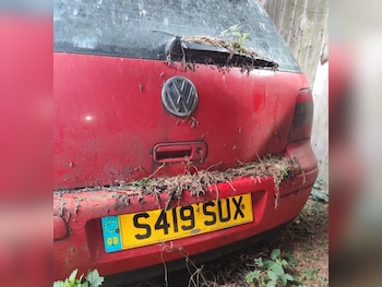 Volkswagen - Golf
