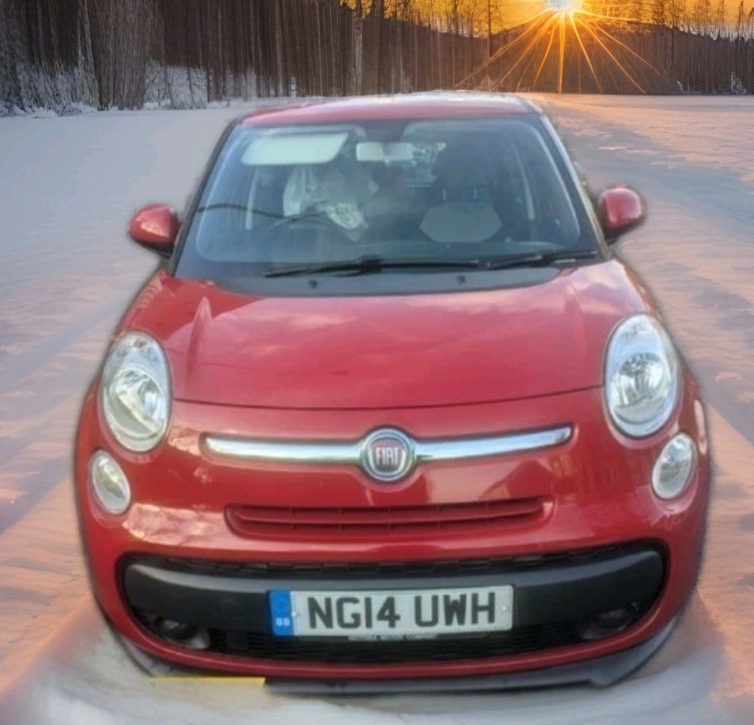 Used Fiat 500L 2014 for sale - 77277577: Photo 3