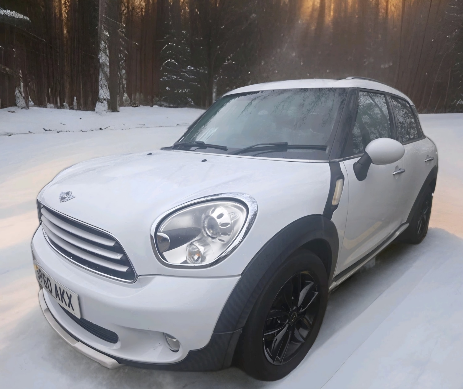 Used MINI Countryman 2010 for sale - 76684048: Photo 1