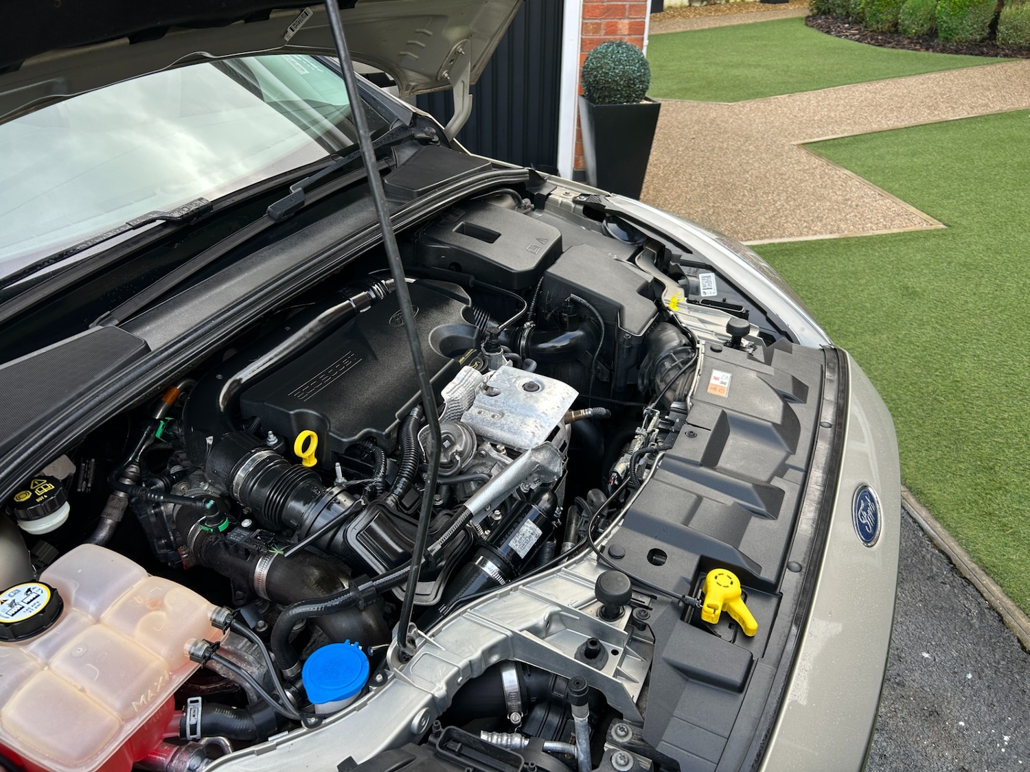 Used Ford Focus 2015 for sale - 77522174: Photo 24