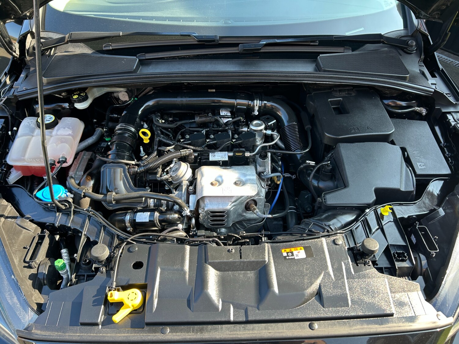 Used Ford Focus 2016 for sale - 77756001: Photo 13