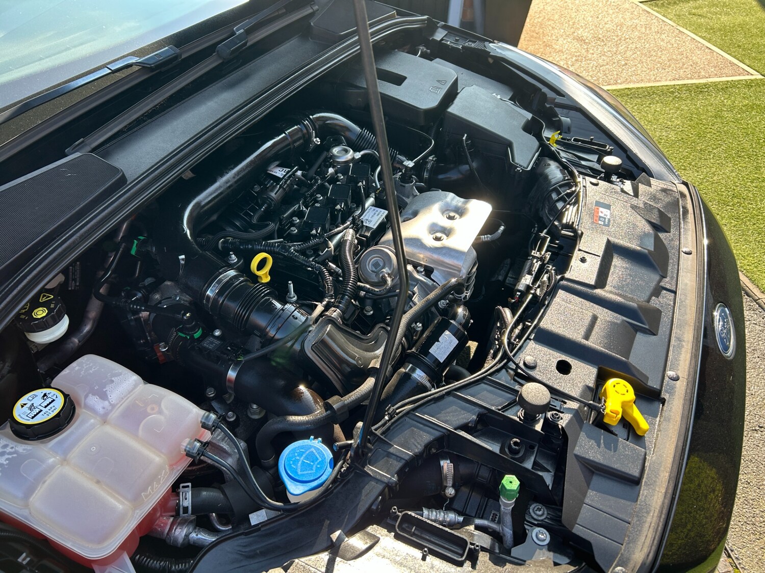 Used Ford Focus 2016 for sale - 77756001: Photo 25