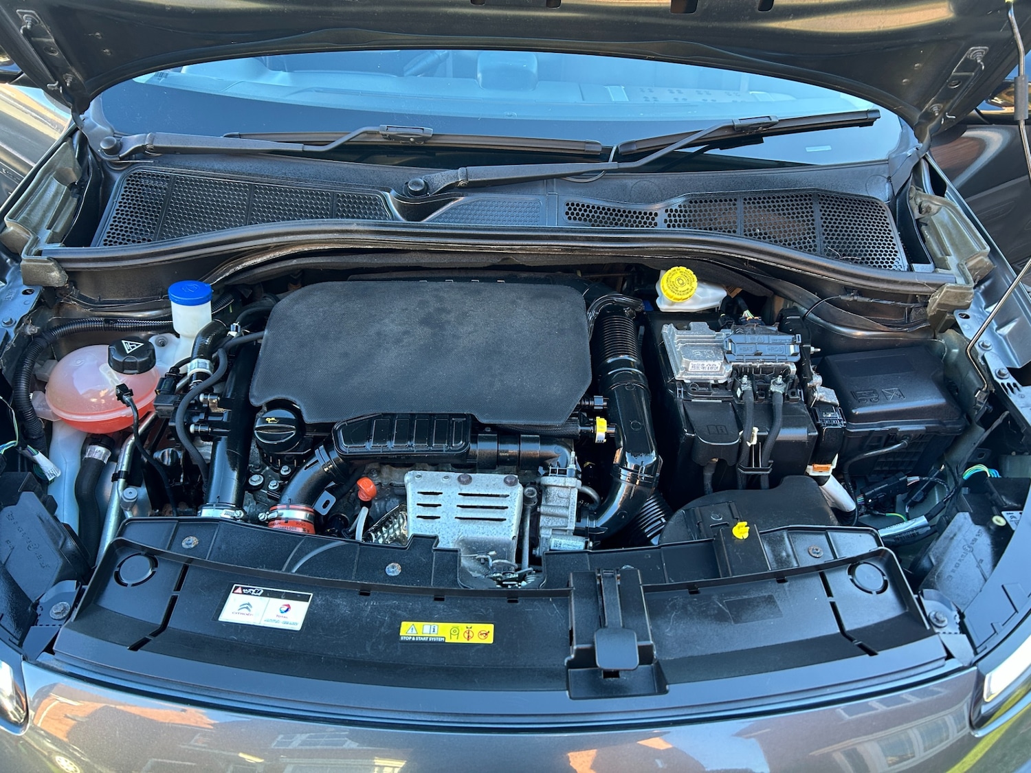 Used Citroen C4 Cactus 2016 for sale - 77107394: Photo 12