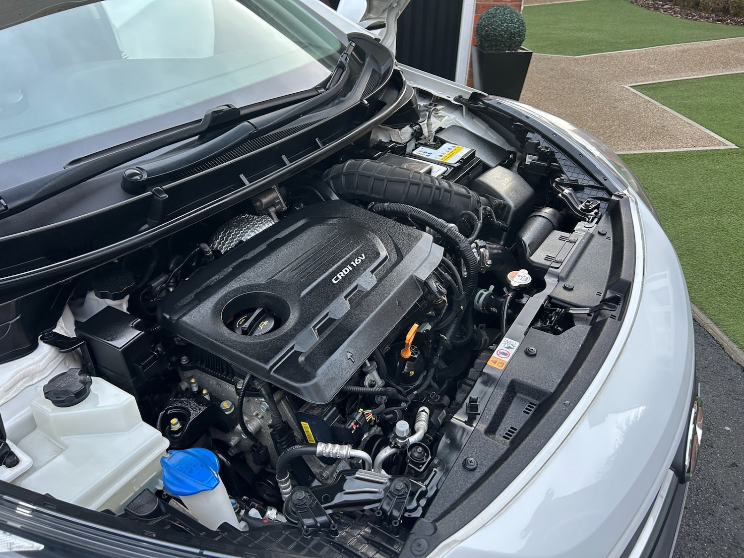 Used Hyundai i30 2016 for sale - 76519289: Photo 25