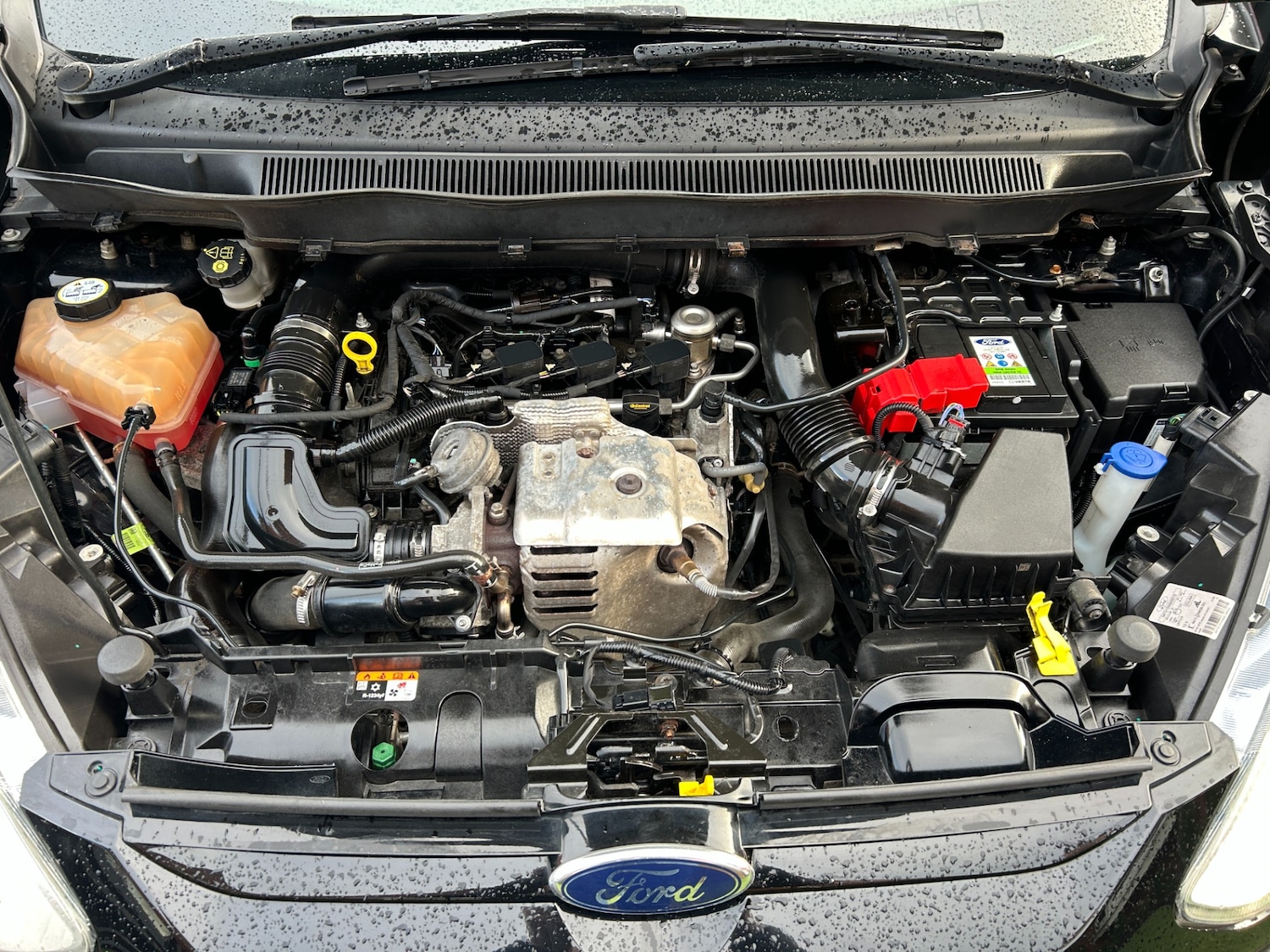 Used Ford B-MAX 2016 for sale - 77522191: Photo 13