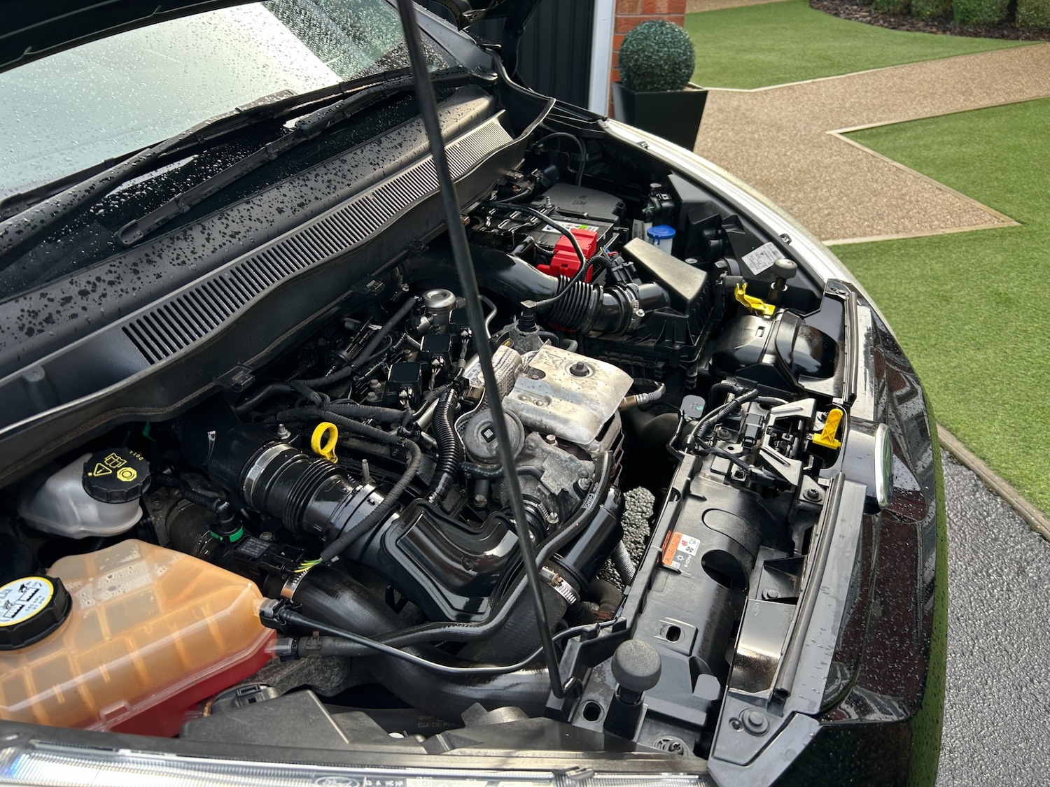 Used Ford B-MAX 2016 for sale - 77522191: Photo 28