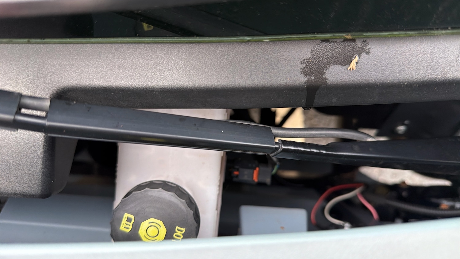 Used Citroen Ami 2025 for sale - 77332460: Photo 19